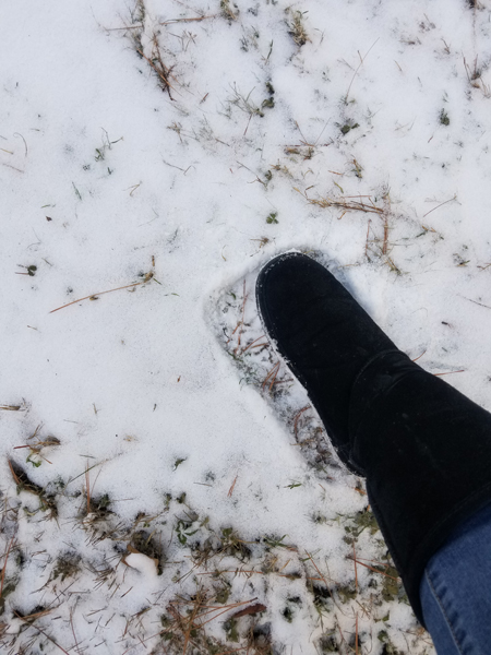 foot in snow | Harris Garden Cards