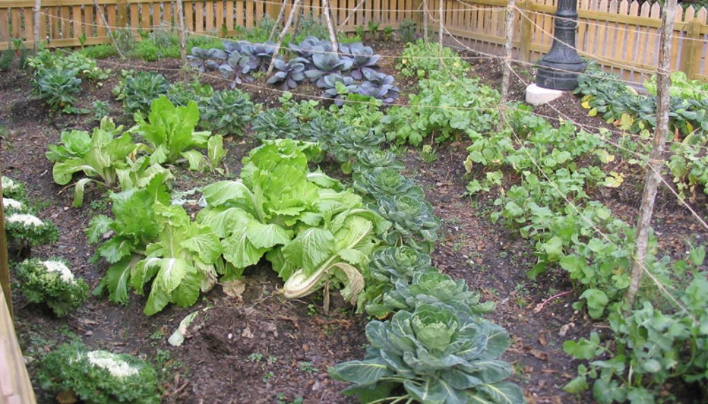 productivegarden
