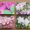 Harris Garden Cards
