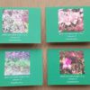 Harris Garden Cards