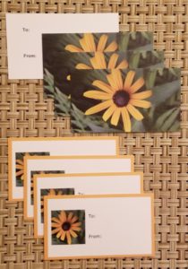 Daisy gift tags- Harris Garden Cards