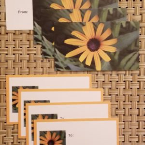 Daisy gift tags- Harris Garden Cards