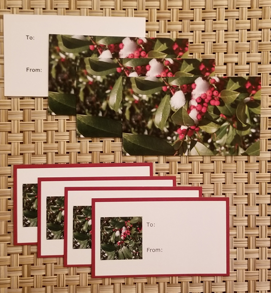 Holly gift tags- Harris Garden Cards