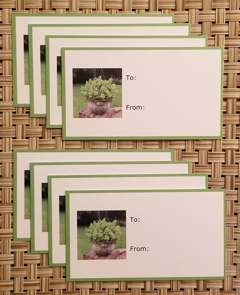 Sedum planter gift tags- Harris Garden Cards