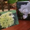Bees and Flowers II 4-Pack